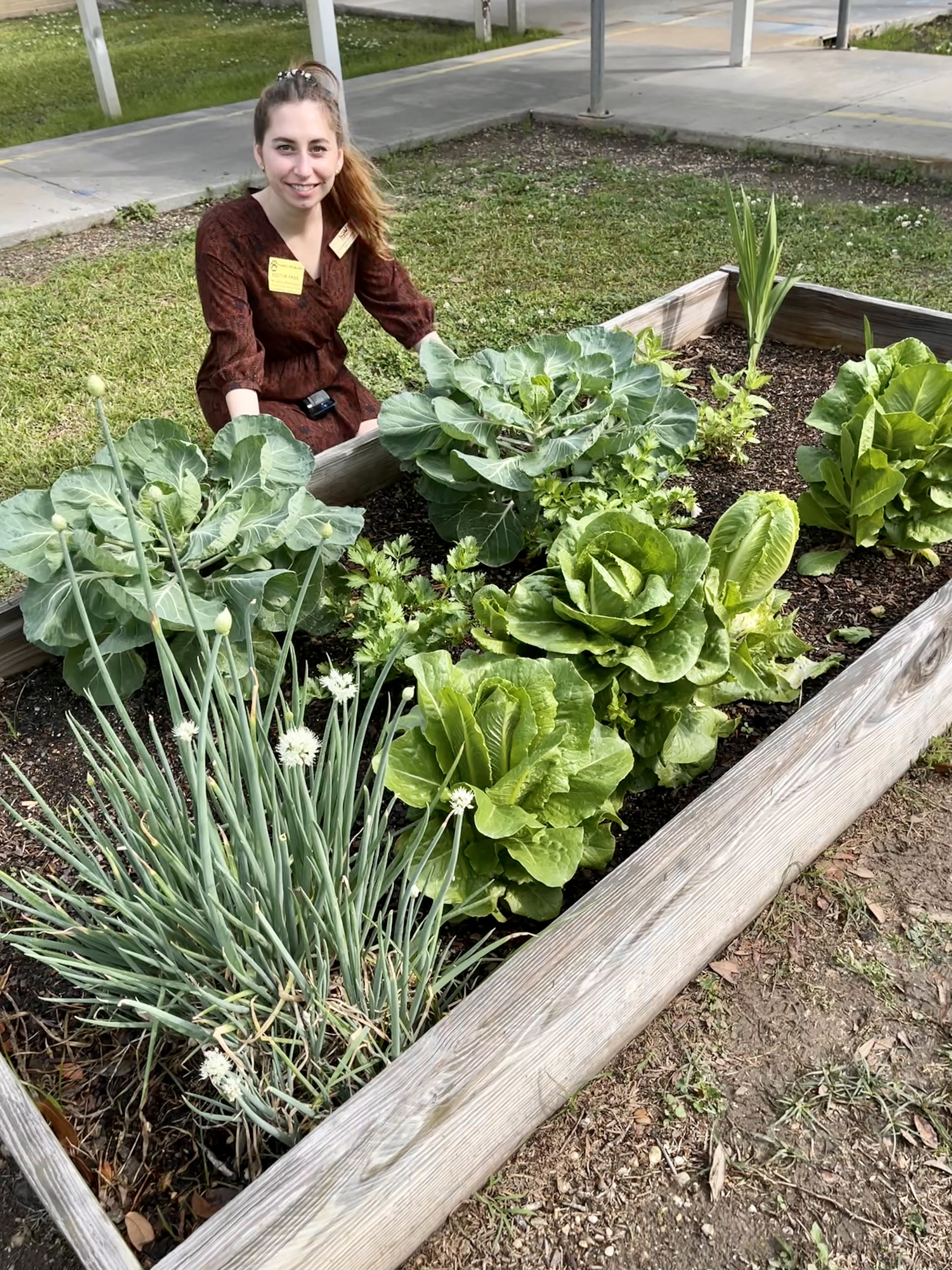 A woman crouches behind a raised-bed garden.